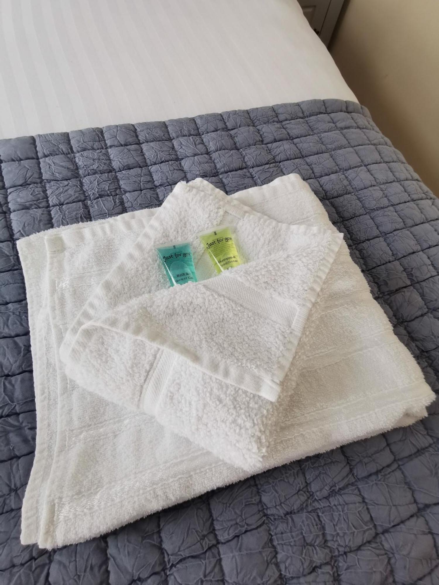Broseley The Ironmaster Bed & Breakfast エクステリア 写真
